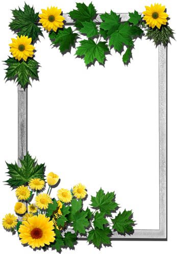 Written By Dreamland In Frames Rectangular-flowers - Transparent Photo Frames Png (565x800)