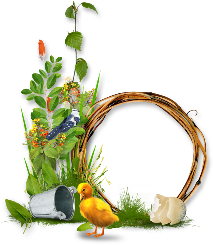 Tube For Eastertube For Easter » - Cadre À Photo Oiseau (695x800)