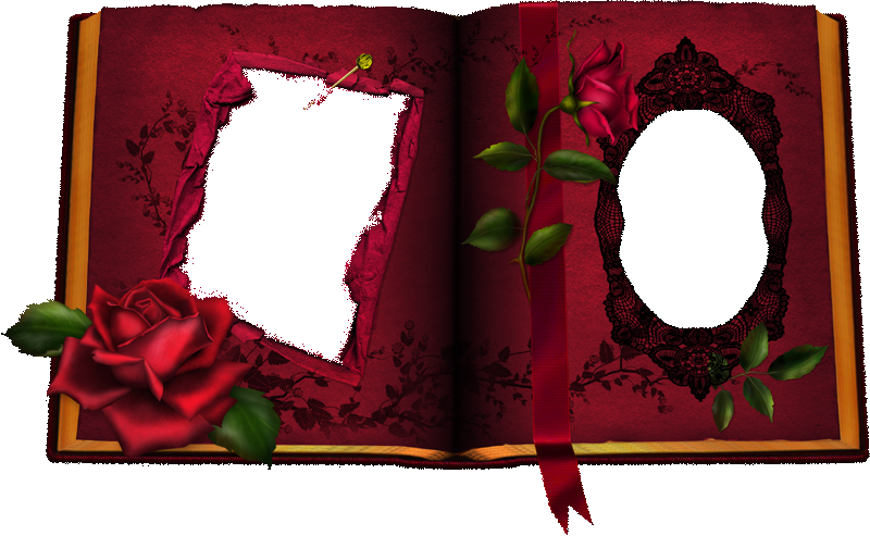 Written By Dreamland In Shablons Book On 19 November - Birthday (800x493)