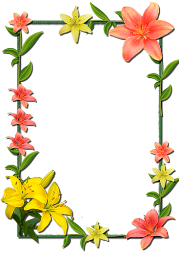 Written By Dreamland In Frames Rectangular-flowers - Flower Frames For Photoshop (353x500)
