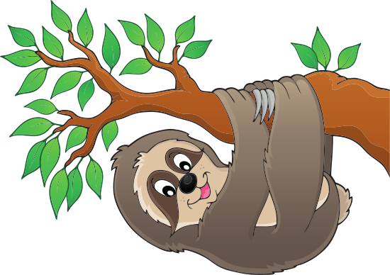 Sloth On Branch Theme Image - Smiling South American Sloths Coloring Book [book] (550x388)