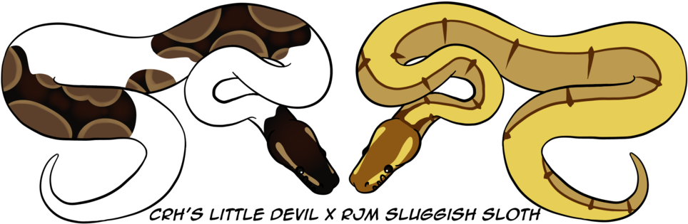 Devil X Sloth Breeding Announcement By Wolfhavenwoods - Devil X Sloth Breeding Announcement By Wolfhavenwoods (1024x384)