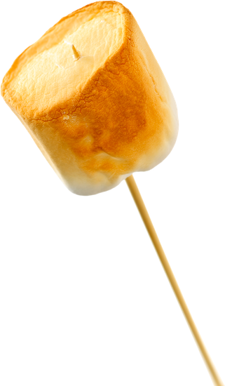 Toasted Marshmallow - Roasted Marshmallow Transparent Background (321x550)