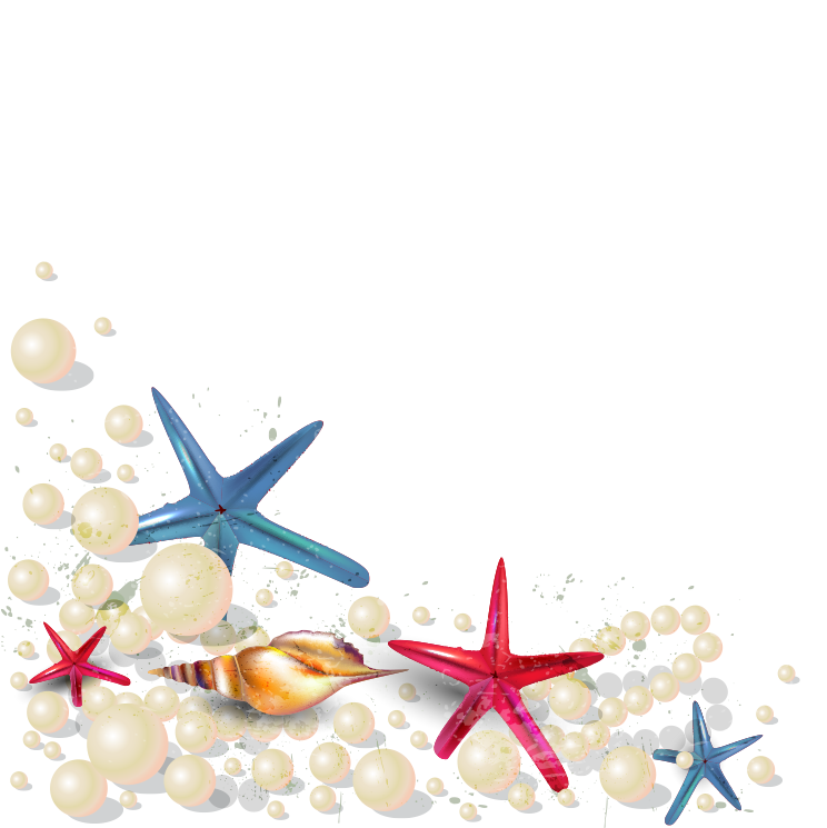 Starfish Wallpaper - Beach - Starfish On Sand Png (744x745)
