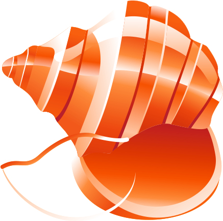 Seashell Clip Art - Free Vector Beach (500x500)