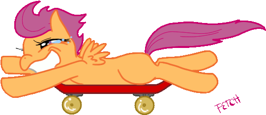 Scoot Scoots By Cnat - Scoot Scoots By Cnat (567x285)