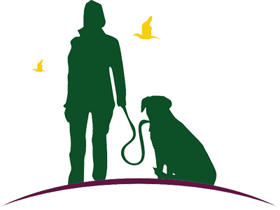 Trails And Tails Dog Camp St Albans Pet Sitting Dog - Trails And Tails Dog Camp (400x300)