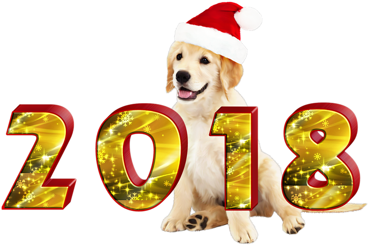 8 Tips To Prolong The Life Of Your Pet - Happy New Year 2018 Facebook Cover (960x640)