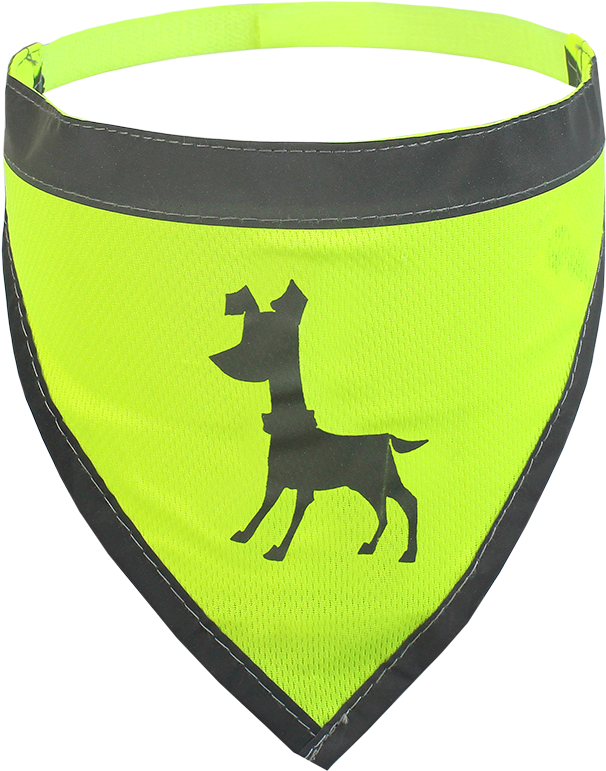 Visibility Dog Bandanas - Alcott Essentials Visibility Dog Bandana Neon Orange (1000x1000)