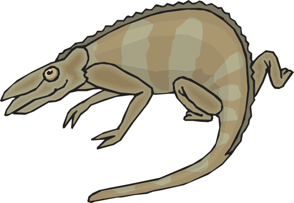 Brown Chameleon Clipart (600x415)