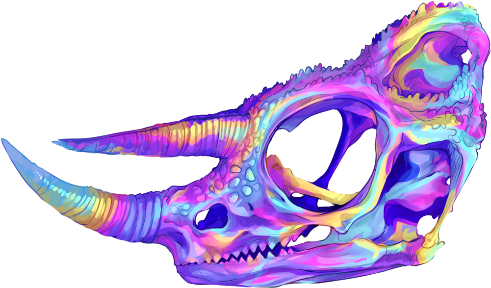 Jacksons Chameleon Skull By Aliensphynx - Digital Art (1024x605)