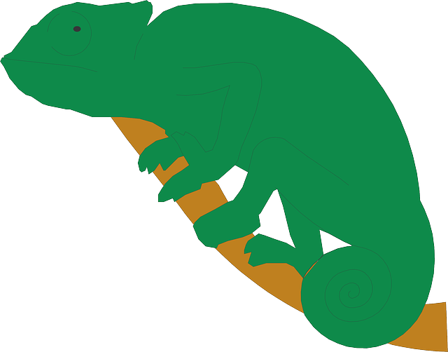 Branch, Chameleon, Tail, Reptile, Curled - Chameleon Clipart (640x502)