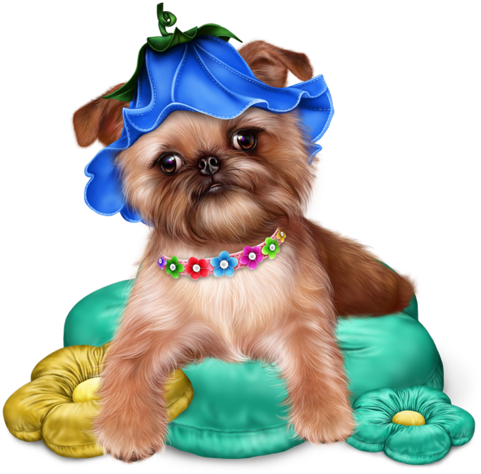 Превью Brussels Griffon Puppy16 Resultaat - Yorkshire Terrier (700x700)