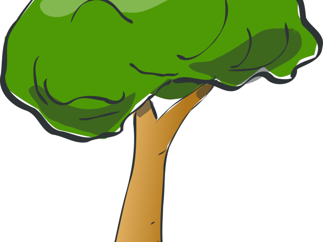 Rainforest Clipart Big Plant - Tree Clip Art (640x480)