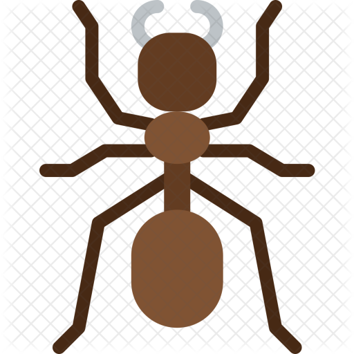 Ant Icon - Karınca Png Düz (512x512)