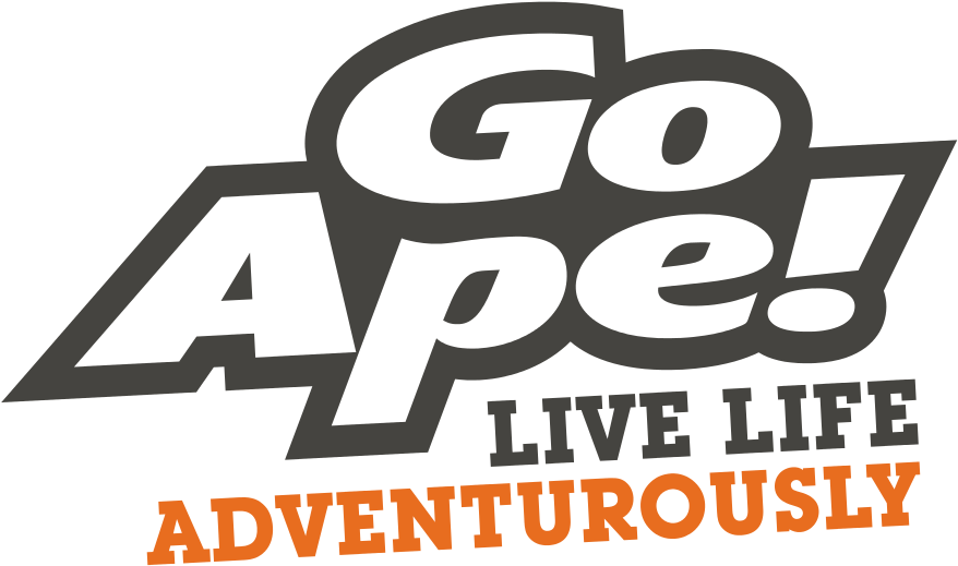 Tree Top Adventure In London For One (1200x662)