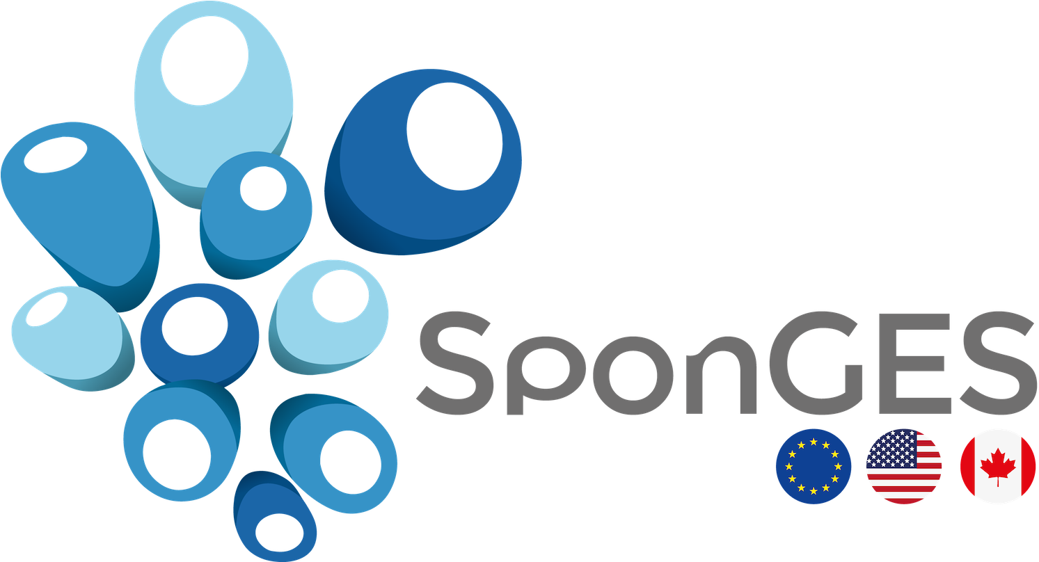 Sponges Has Received Funding From The European Union's - Logo Sea Sponge (1500x807)