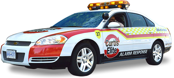 Immediate Alarm Response - Alarm Device (600x270)