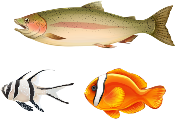 Clip Art - 3 Peces (600x431)