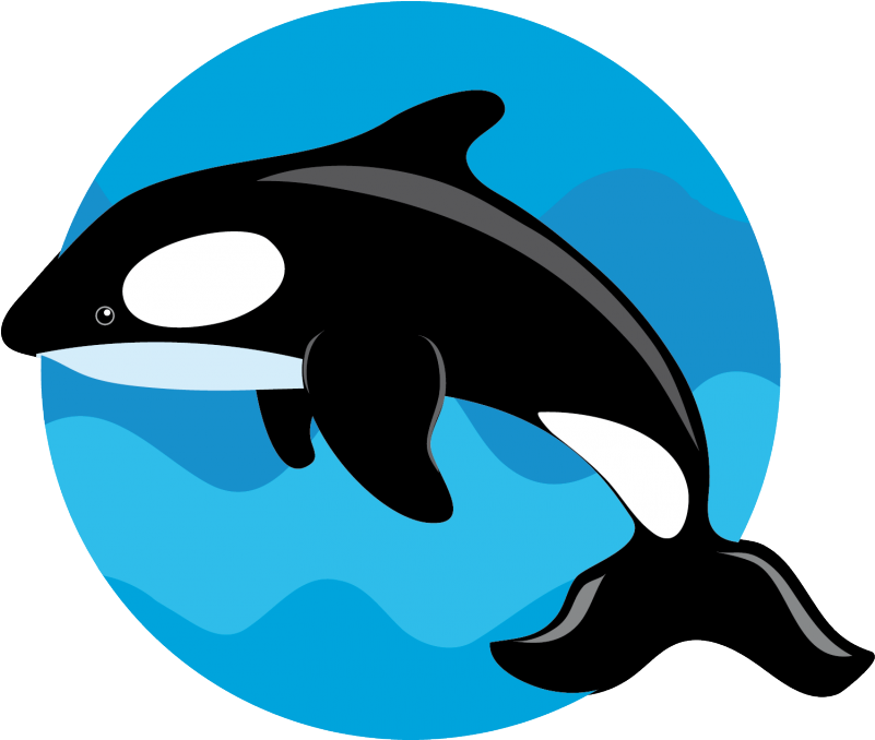 Siguiente - Orca Whale (800x800)