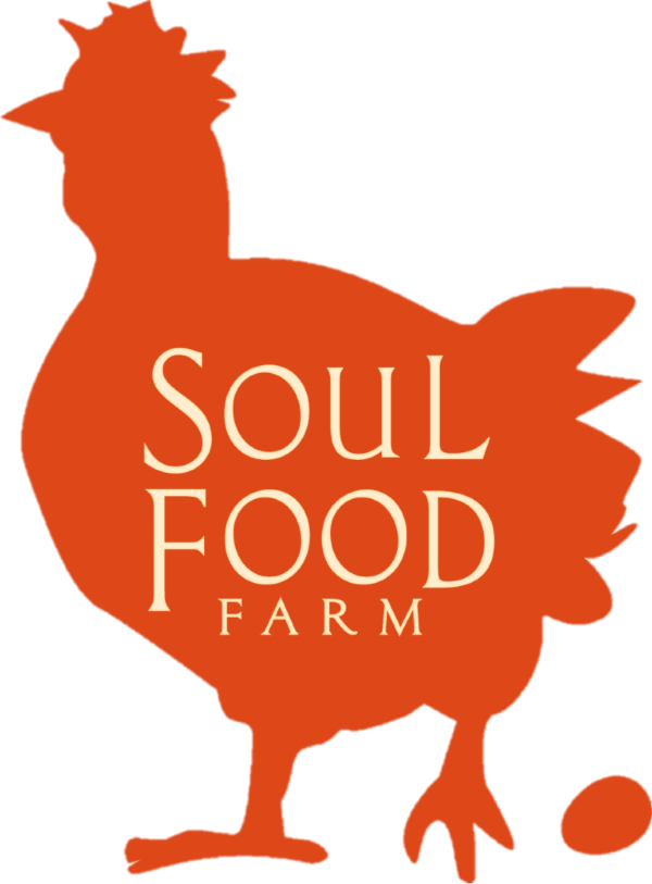 Alexis Koefoed, Grazing For Change Speaker, Holistic - Soul Food Farm (600x813)