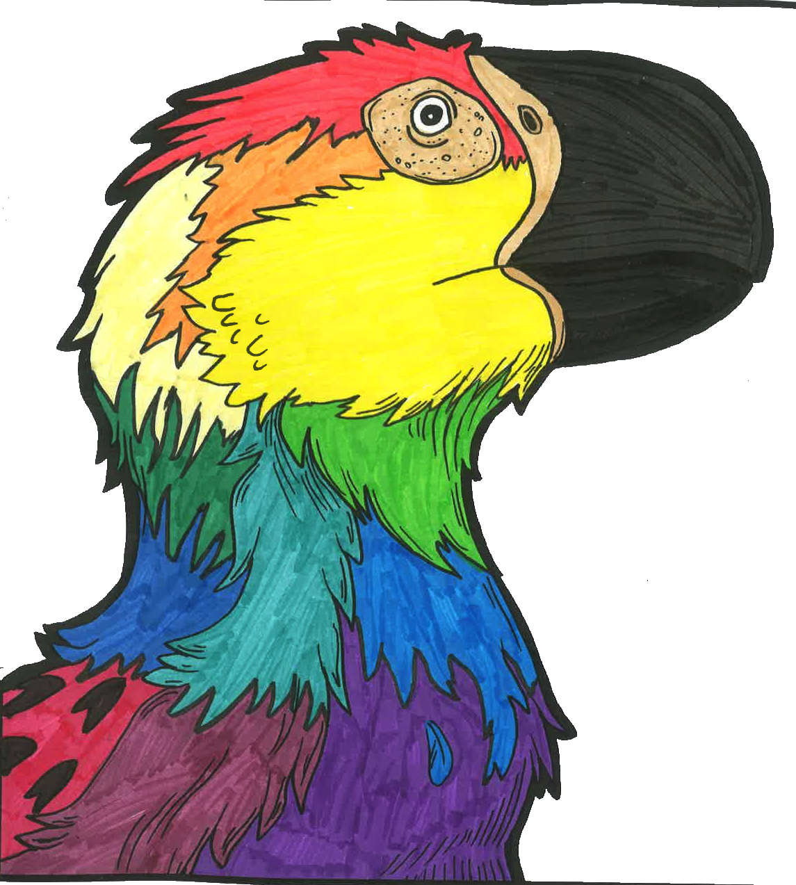 My Colorations Of @dianeramic 's Book, The Coloring - Macaw (1145x1273)