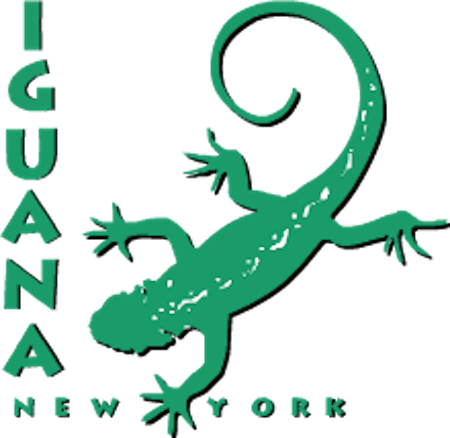 Dance With Me, Iguana / Iguana Hold Your Hand - Cafe Iguana New York (450x438)