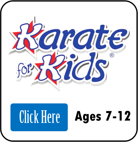 Mbr- Karate Kids Icon - Karate For Kids (470x484)