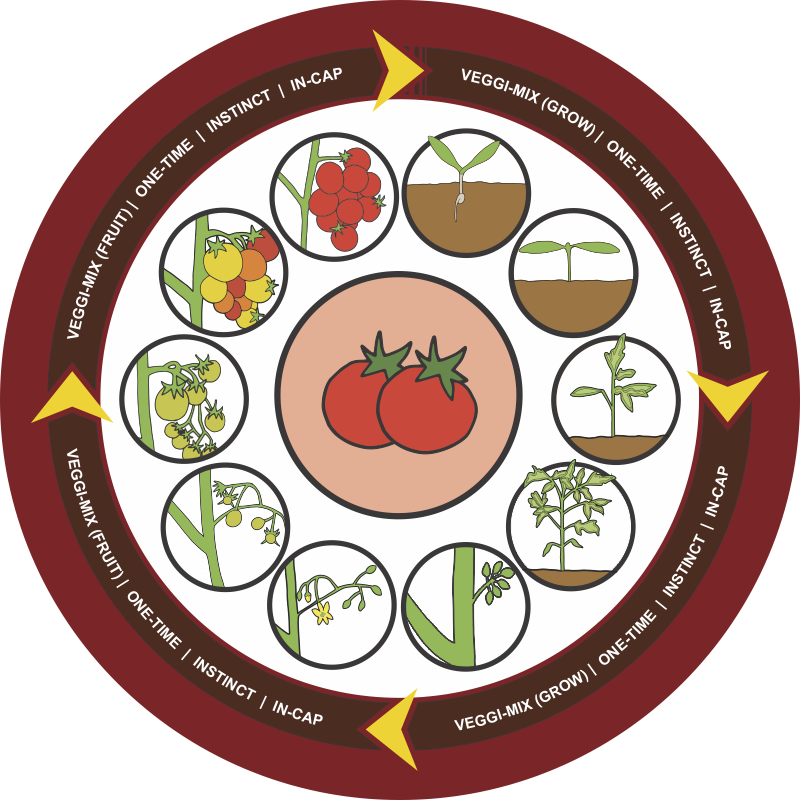 Tomato Clipart Crop - Crop (800x800)