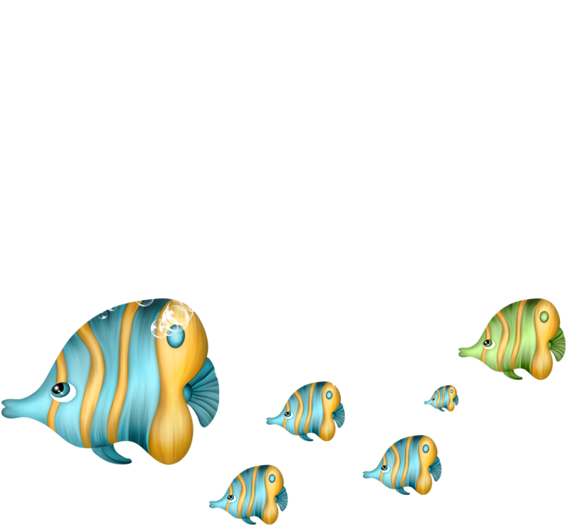 Adventures At The Seashore - Coral Reef Fish (800x742)