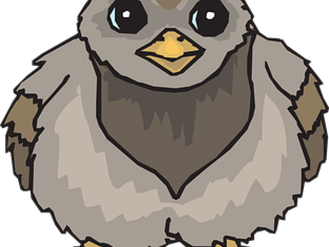 Fuzzy Clipart Animal Hair - Baby Pigeon Clipart (640x480)