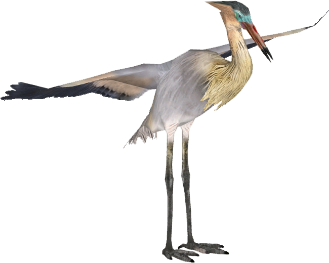 Birds - Heron Png (649x649)