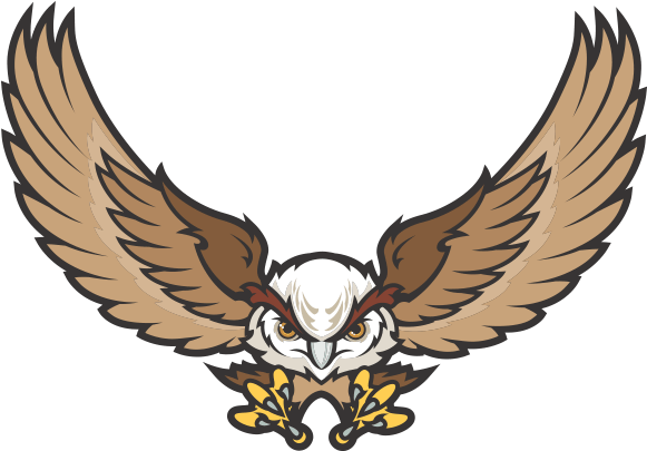 Flying Owl (600x420)