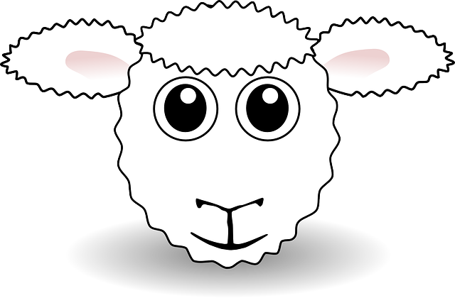 Sheep, Farm Animal, Agriculture, Farm, Cute, Animal - Sheep Face Mask (640x420)