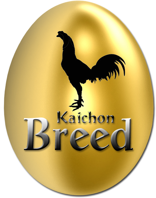 การเพิ่มลูกไก่ ไก่หนุ่ม ไก่สาว Breed Kaichon บรีดไก่ชน - โลโก้ ไก่ชน สวย ๆ (1000x1000)