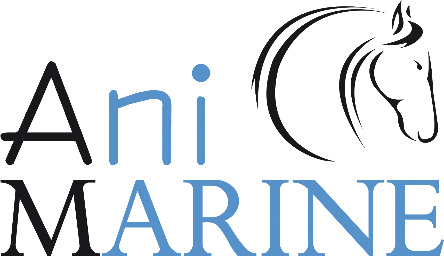 This Post Is Also Available In - Charreria (1748x1131)