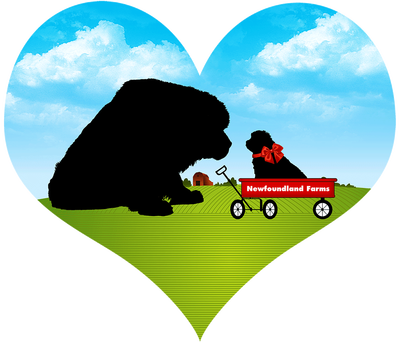 Courage Without Ferocity, And All The Virtues Of Man - Illustration (400x343)