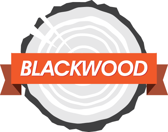 Blackwood Media Group - Blackwood Media Group (578x453)