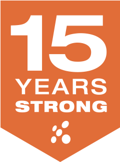 Fifteen Years Strong - Social Media In Graphic Design (360x424)