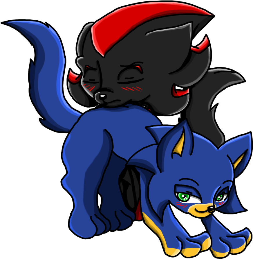 Sonadow Cats By Ncond3 - Sonadow Cats (900x994)