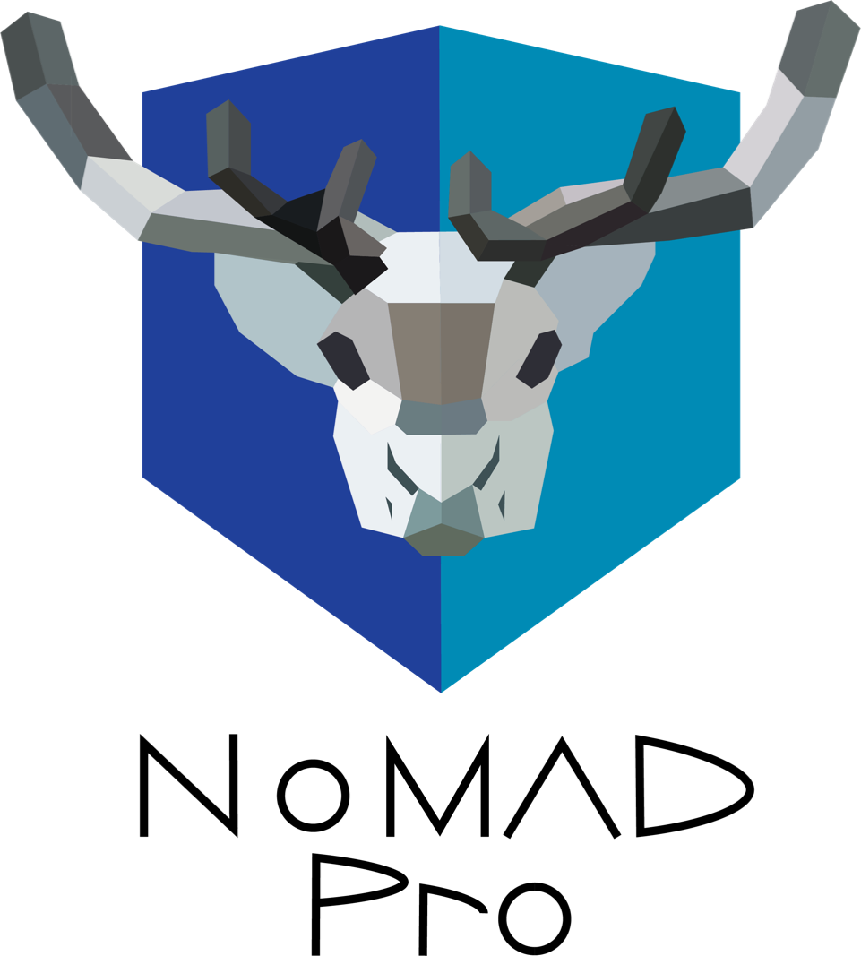 Nomad Pro Is Our First Consumer App For Clients Using - Icon (961x1067)