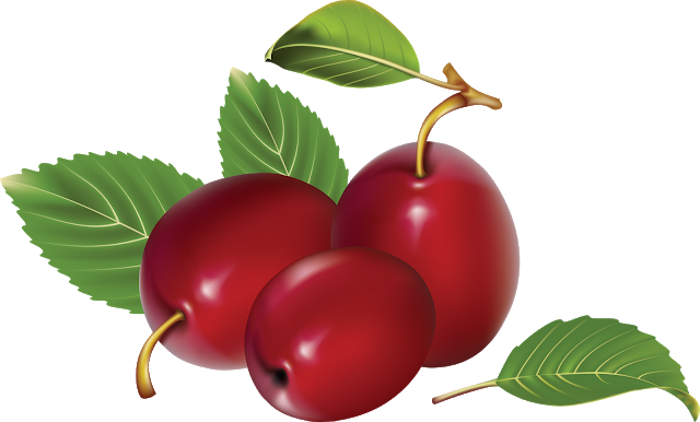 Plum Png - Red Plums Clipart (640x386)