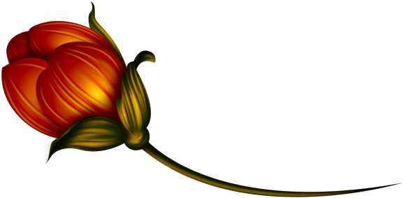 Image Du Blog Leonamoroco - Illustration (600x306)