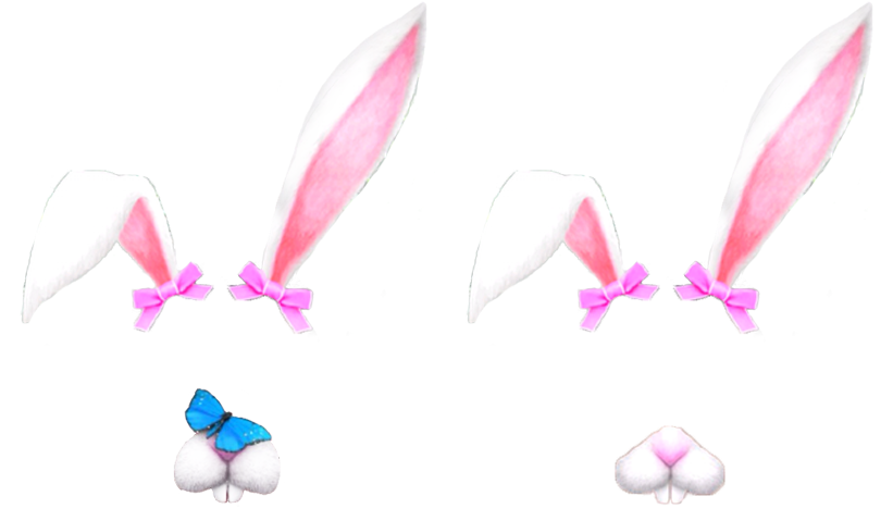 40 Images About Snapchat Filter Png On We Heart It - Snapchat Filter Bunny Png (1022x619)