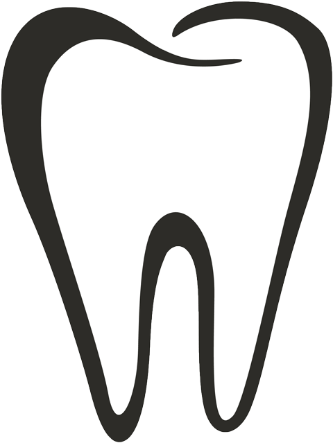 Toothbrush Dentistry Clip Art - Tooth Outline Png (500x657)