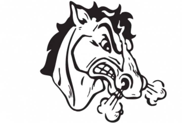 South Fork Logo - Angry Horse Head (720x486)