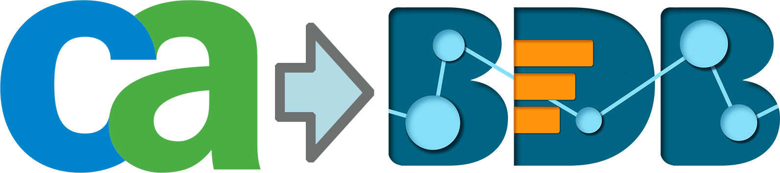 Bdb Ca Ppm Analytics Integration - Computer Associates (1594x355)