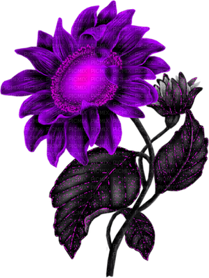 Kaz Creations Deco Flowers Colours - Clip Art (301x400)