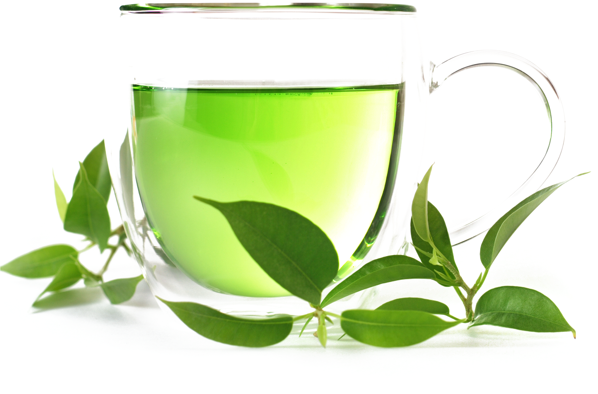Green Tea Organic Food White Tea Oolong - Green Tea Organic Food White Tea Oolong (3000x2436)