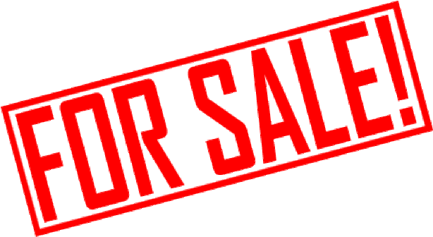 Domain Name For Sale - Not For Sale [book] (640x368)